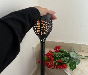 ANTORCHA CHICA